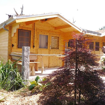 Villa Sperlingslust Rheinsberg Εξωτερικό φωτογραφία